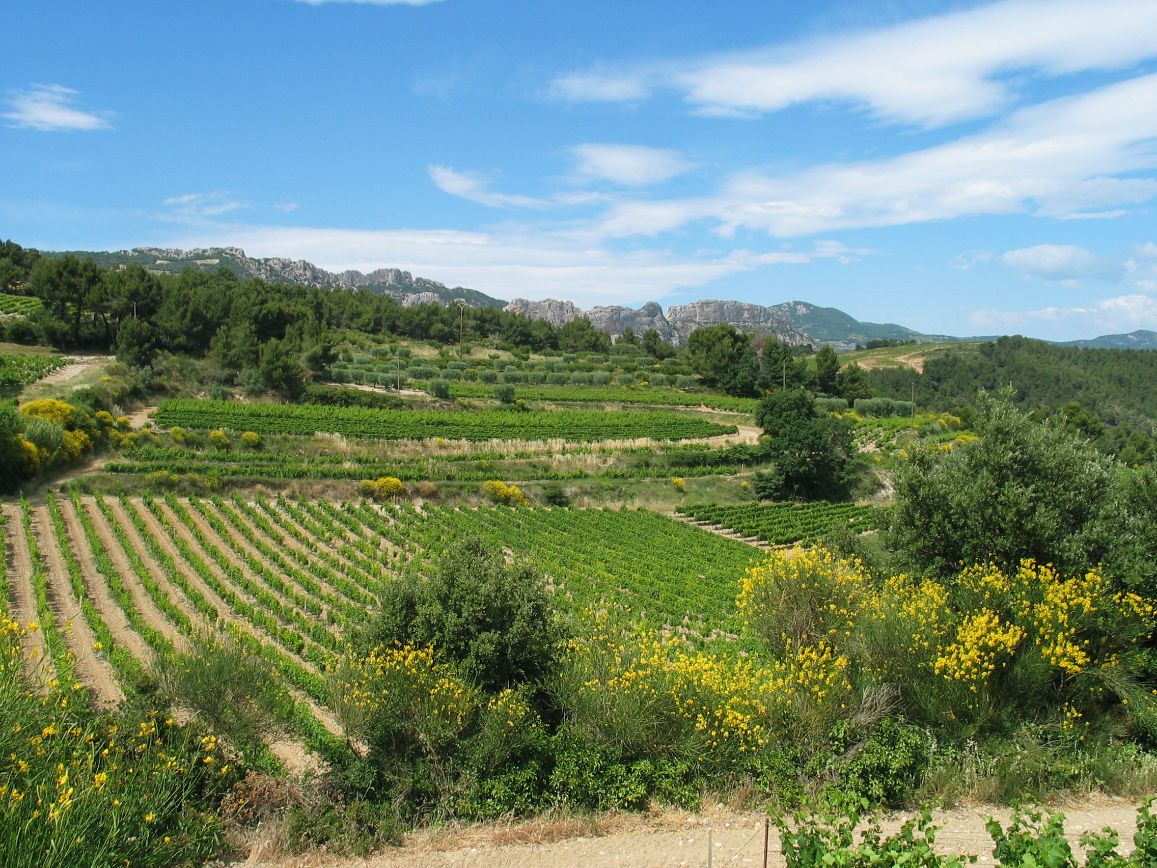 Regionen: Rhône Süd