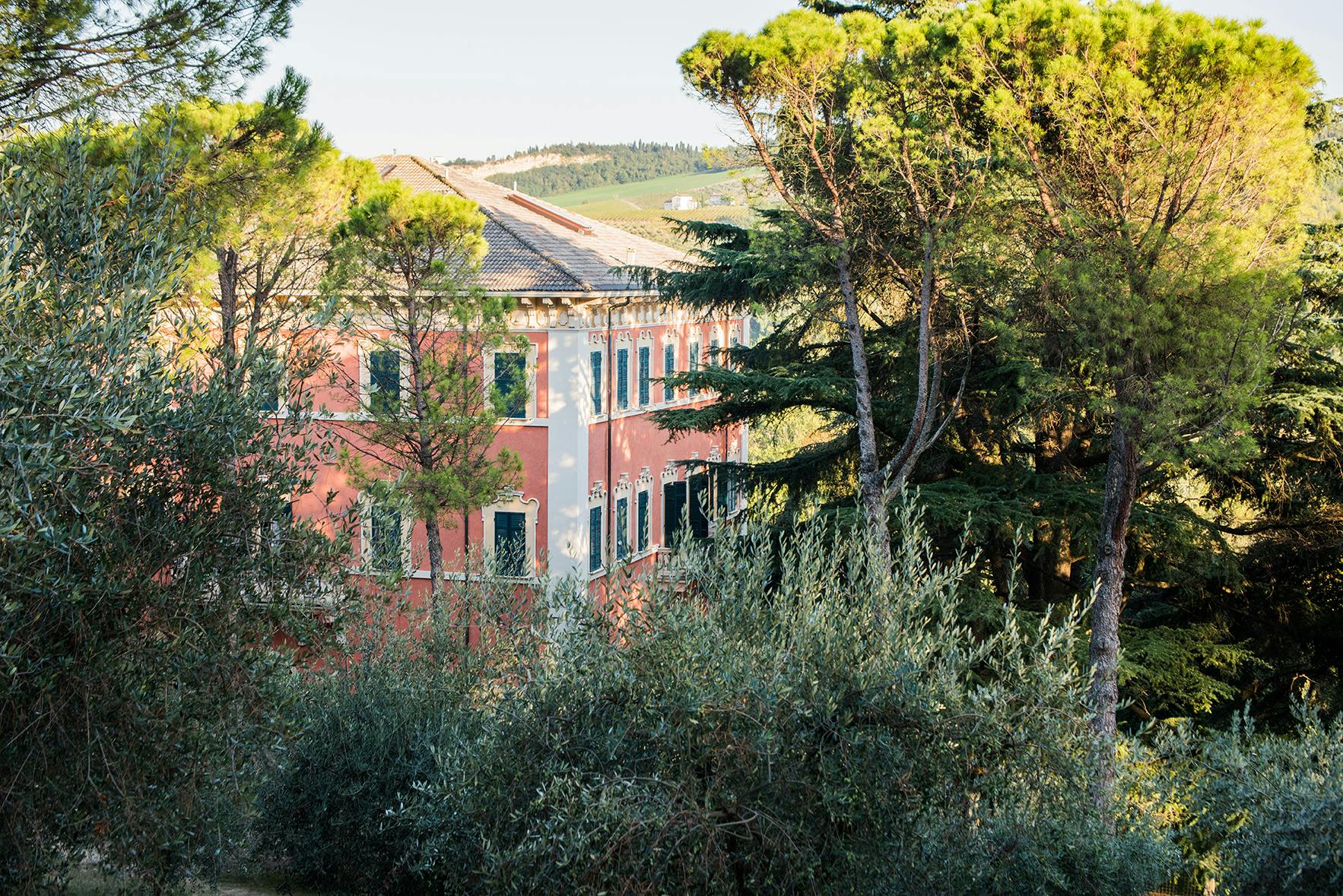 Pandolfa - Noelia Ricci | Caratello - les vins italiens