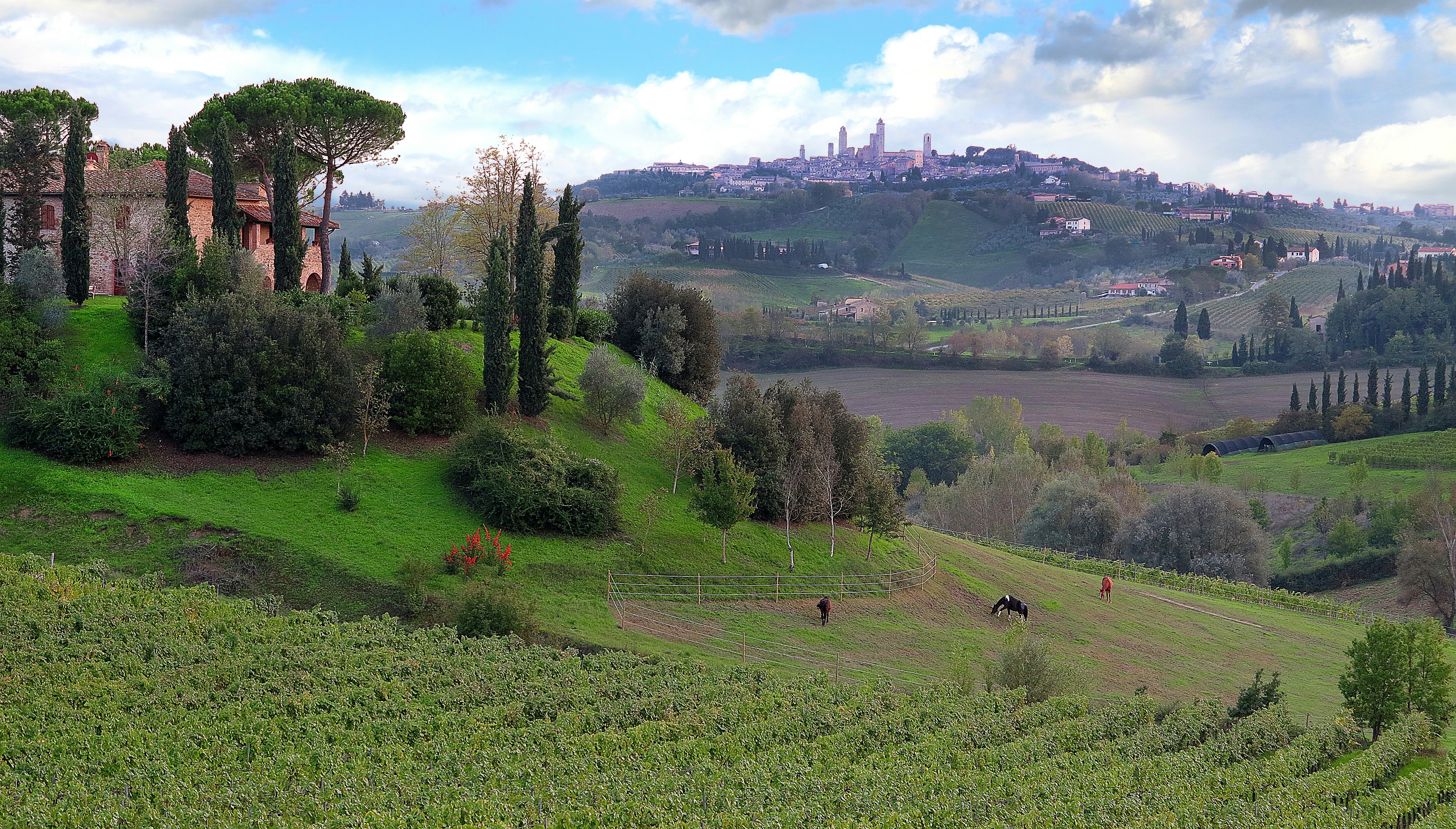 Regionen: Toscana San Gimignano