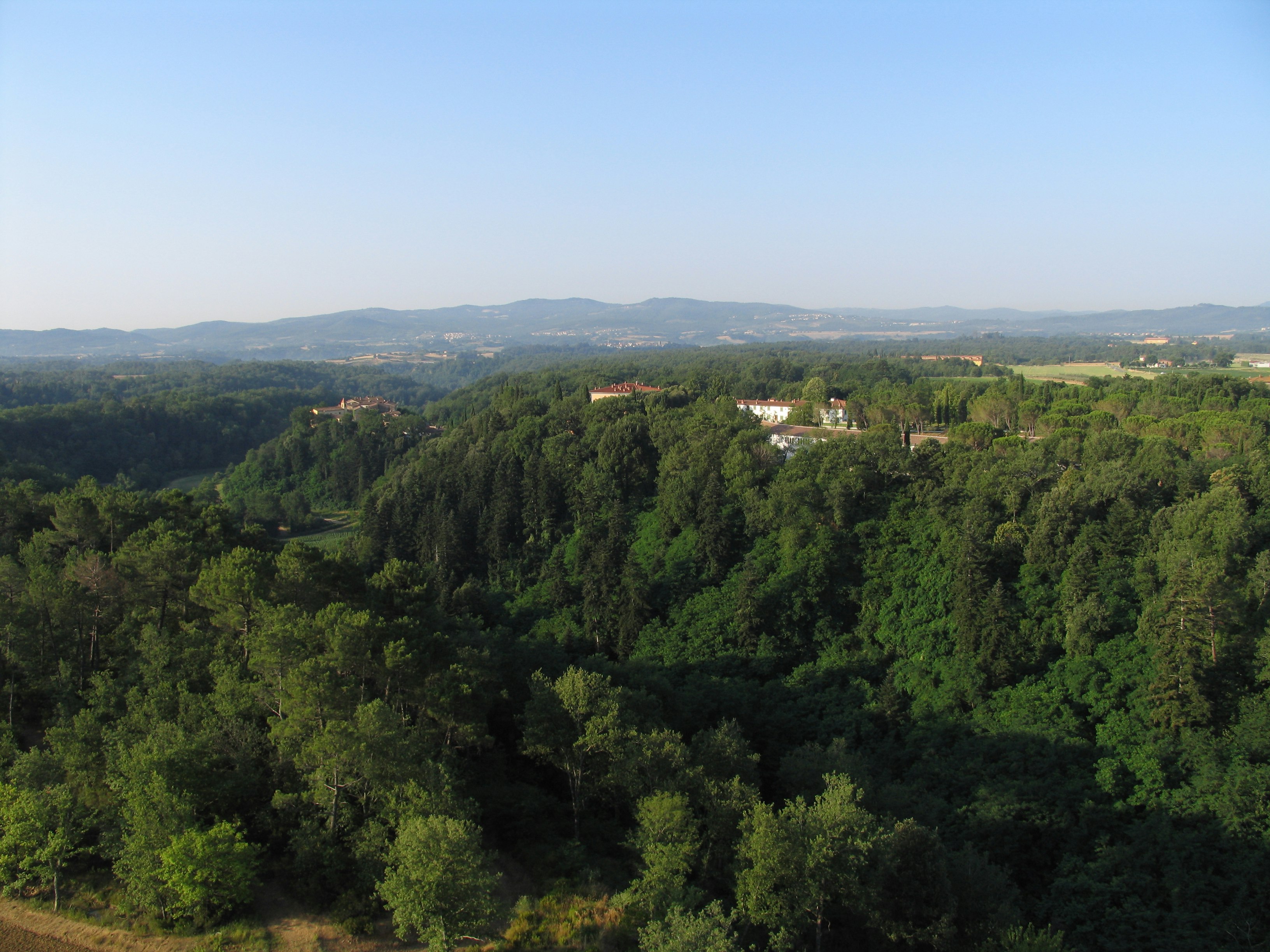 Regioni: Toscana Colli Aretini