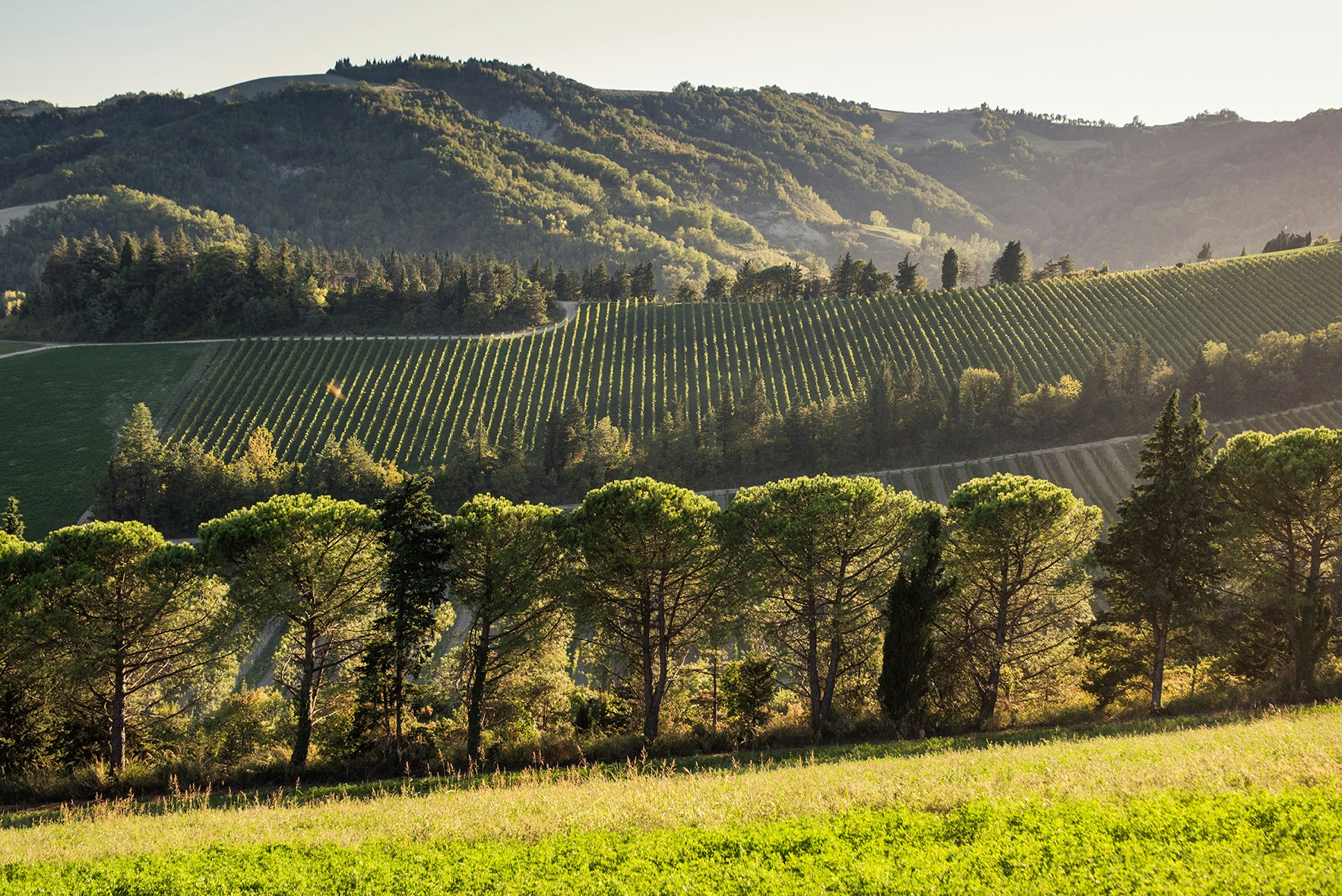 Regioni: Emilia Romagna