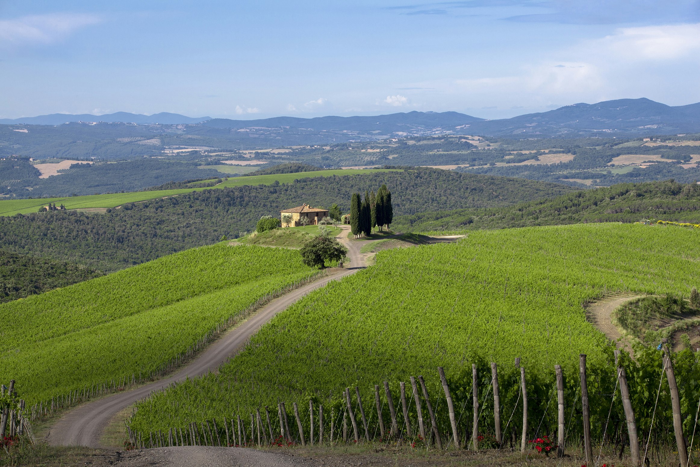 Régions: Toscana Montalcino