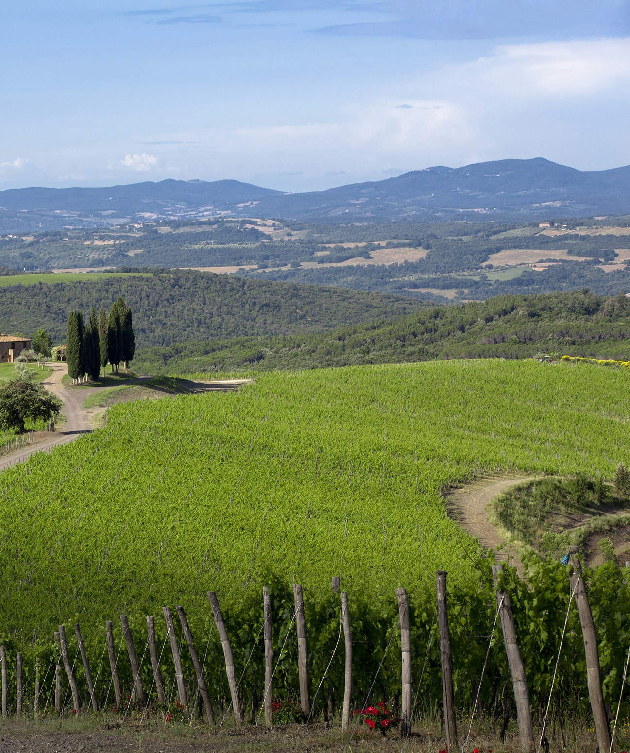 Regionen: Toscana Montalcino