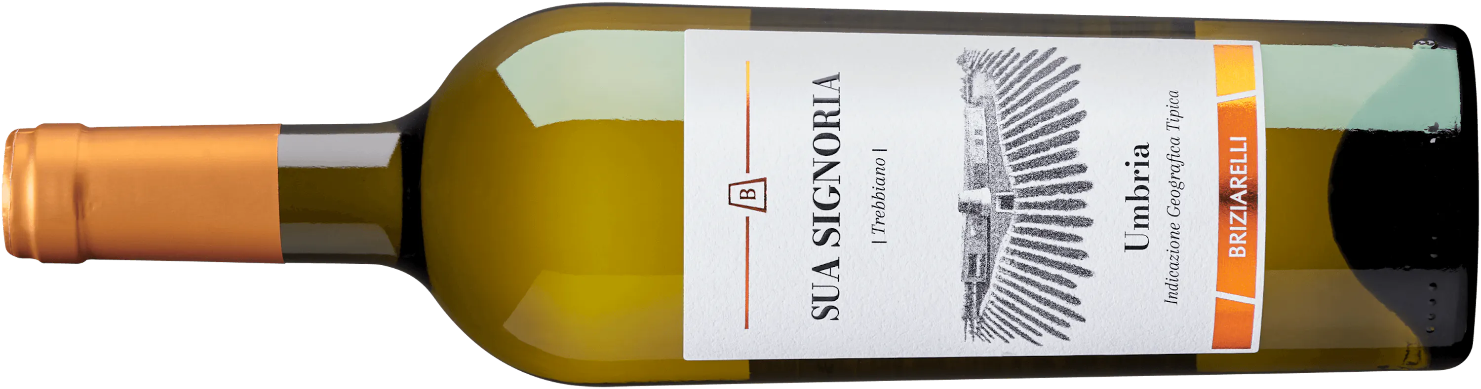 Sua Signoria Trebbiano Umbria Bianco IGT