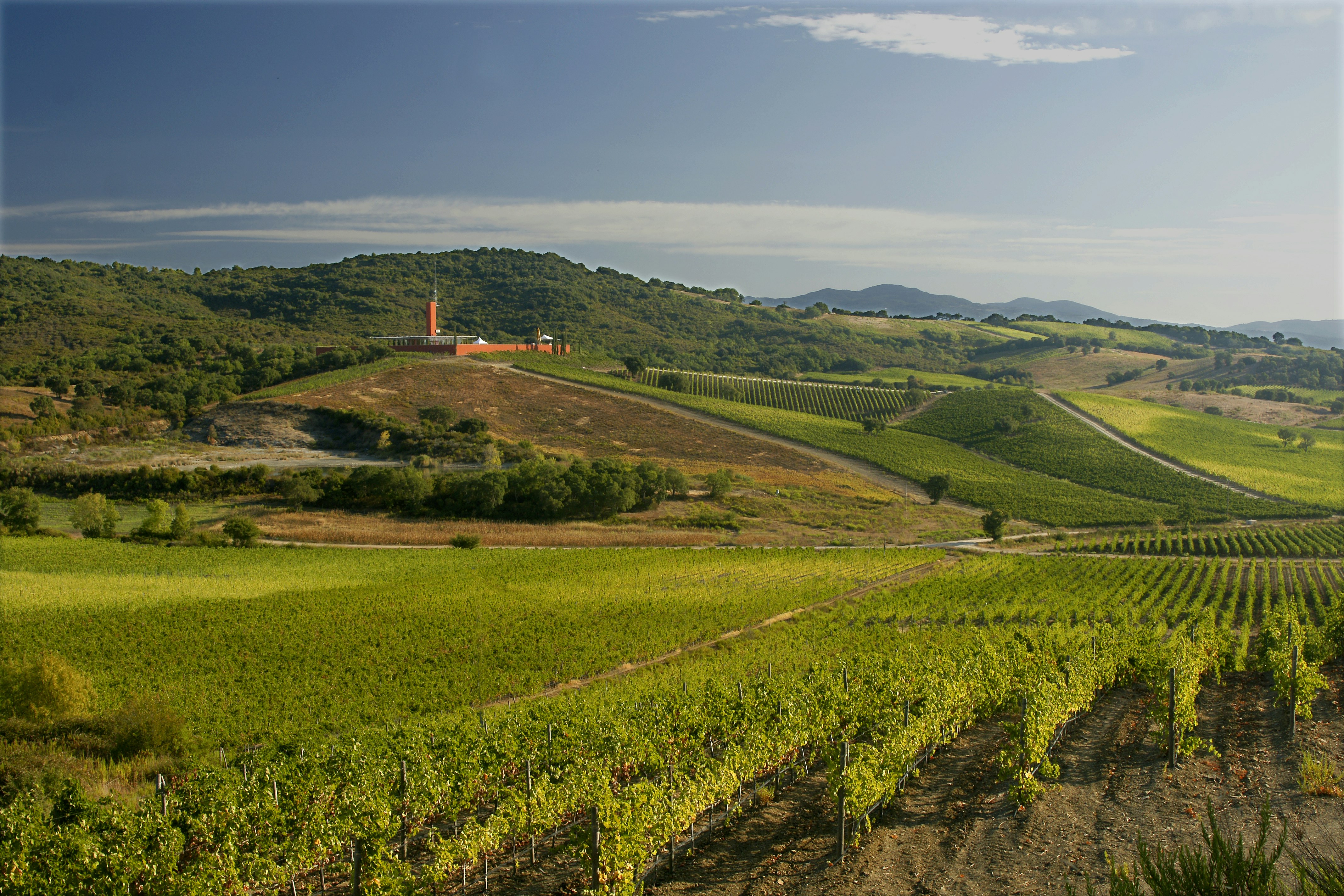 Regioni: Toscana Maremma