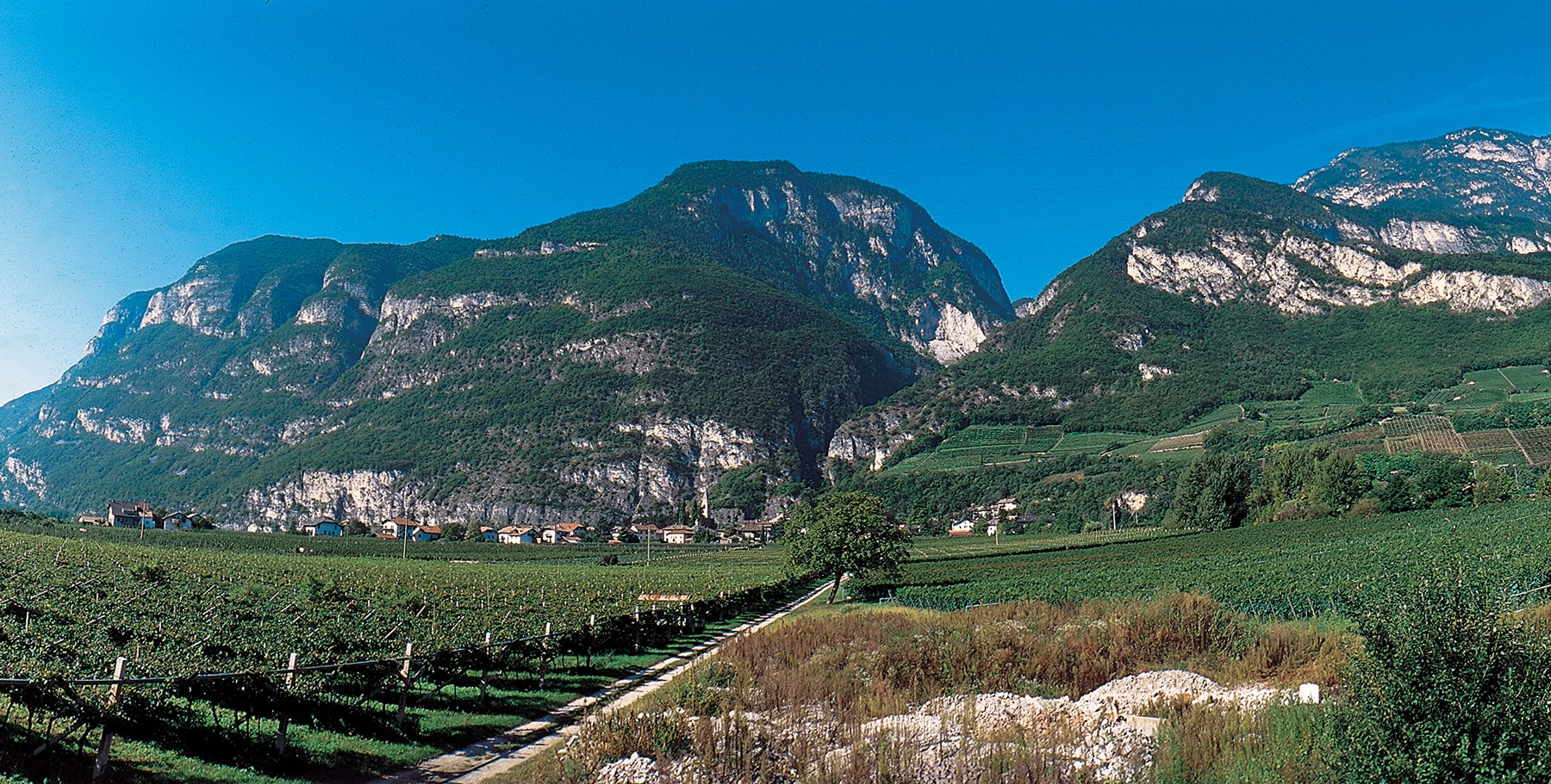 Regionen: Trentino/Alto Adige
