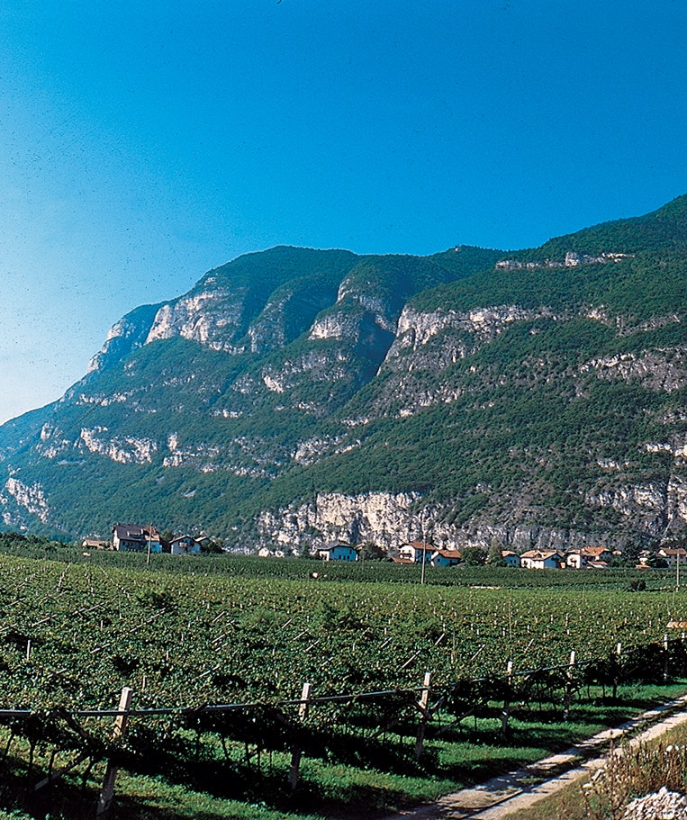 Regionen: Trentino/Alto Adige