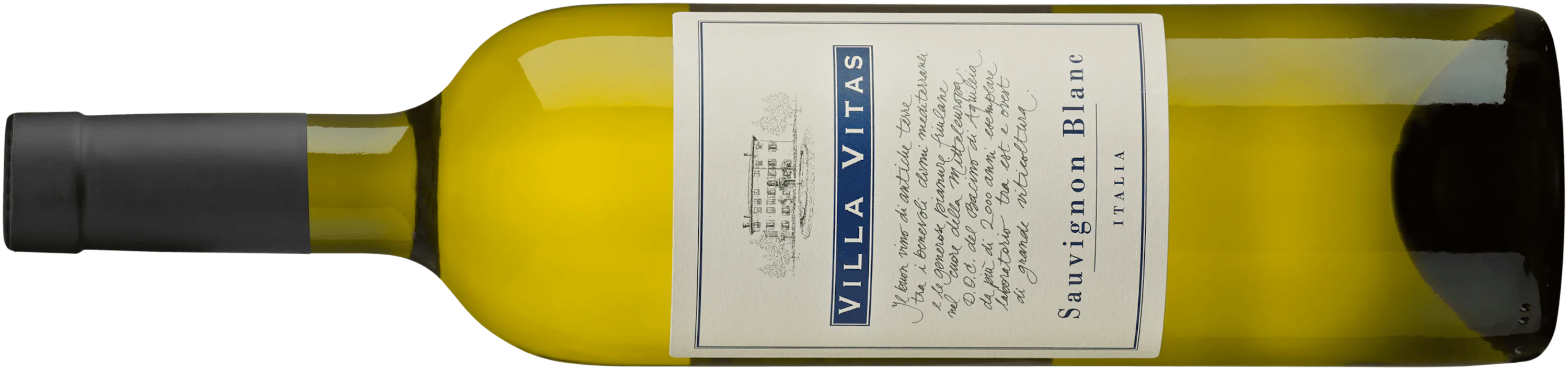 Sauvignon Friuli DOC