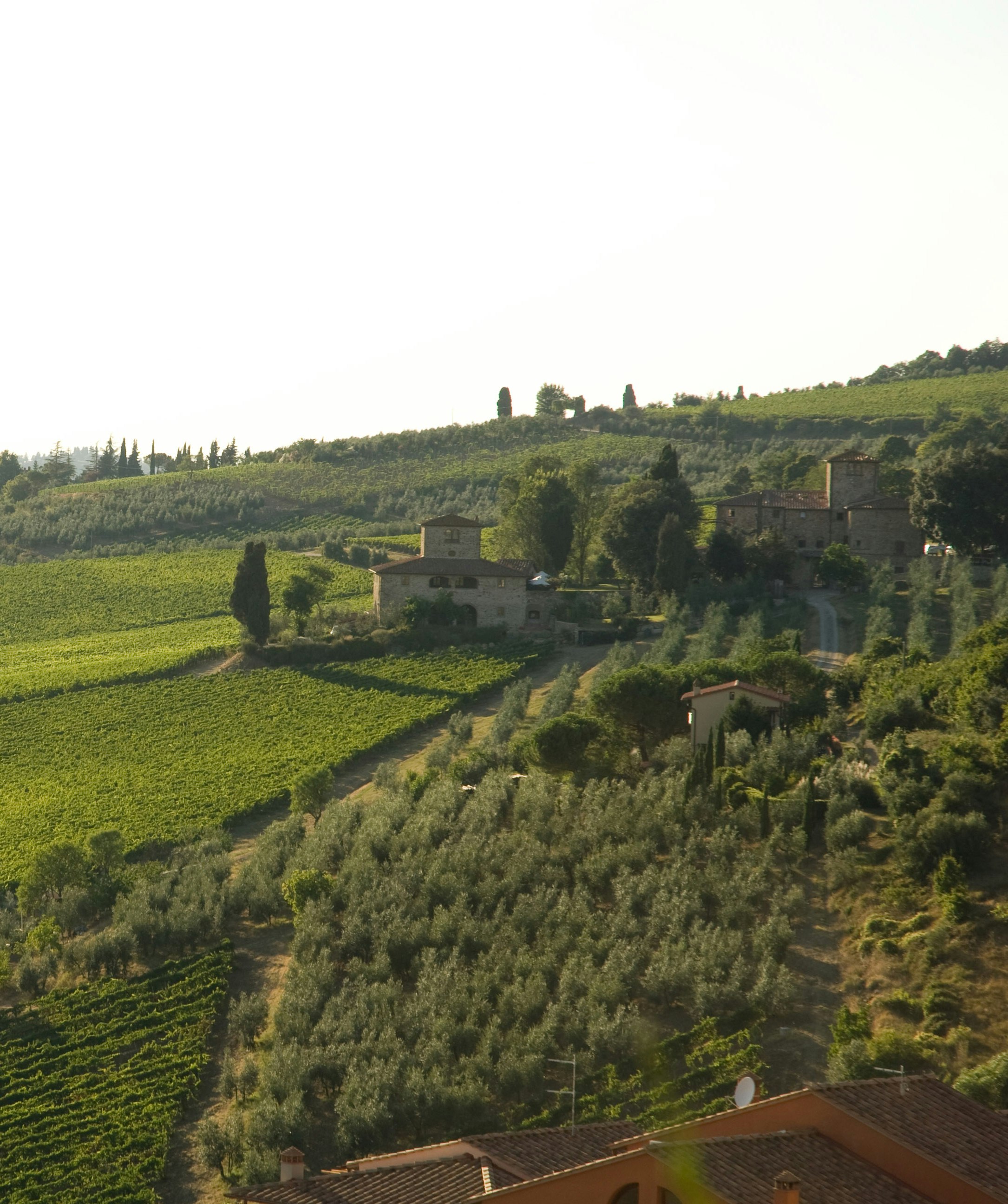 Regioni: Toscana Centrale